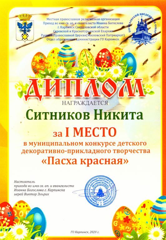 ситников никита.jpg